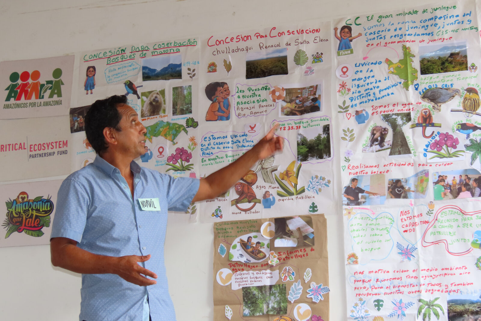 Presentación comunitaria de infografías elaboradas por organizaciones locales del KBA Moyobamba, reflejando la conexión entre cultura, biodiversidad y territorio.
© Amazónicos por la Amazonía / Ana Lucía Silva