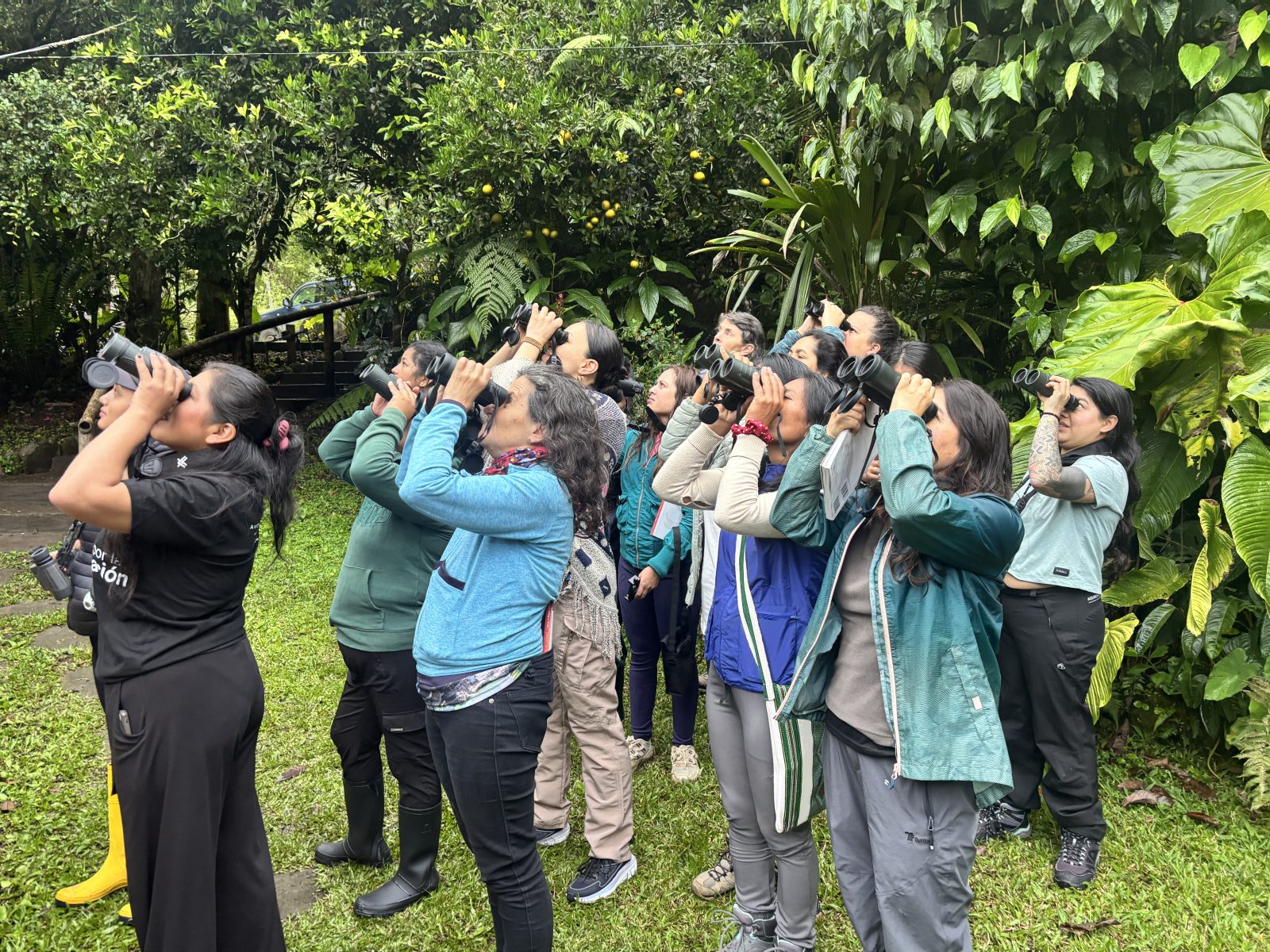 © Shirley Farinango - Aves y Conservación / Avistamiento de aves / Ecuador