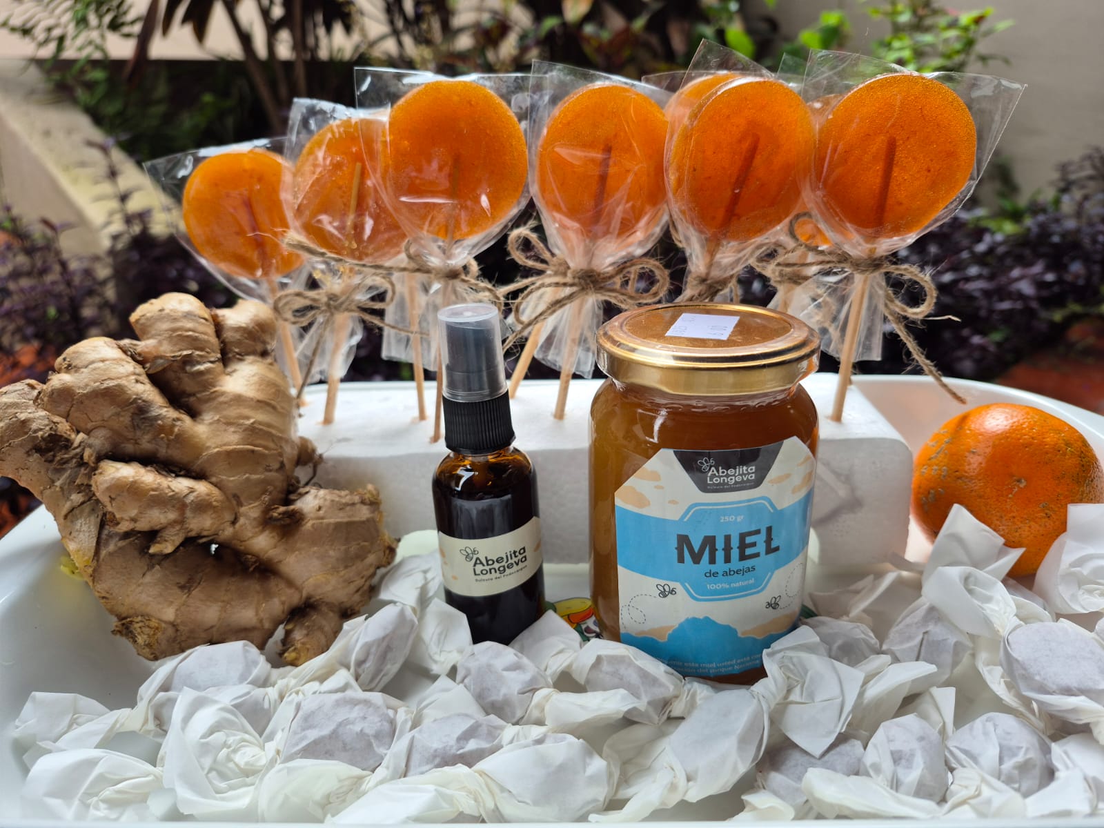 © Asociación de Apicultores de San Pedro de Vilcabamba / Innovaciones Bioproductos en base de miel y propóleos / San Pedro de Vilcabamba, Ecuador
