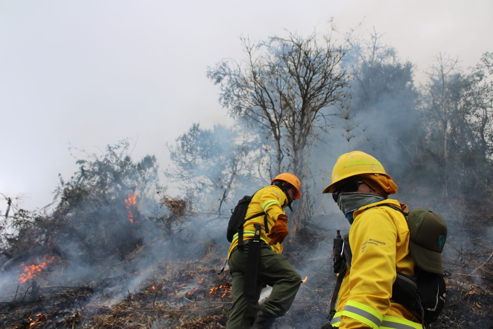 © Corporación Microempresarial Yunguilla / Capacitación en Manejo Integral del Fuego con Enfoque de Género / Yunguilla–Santa Lucía, Ecuador